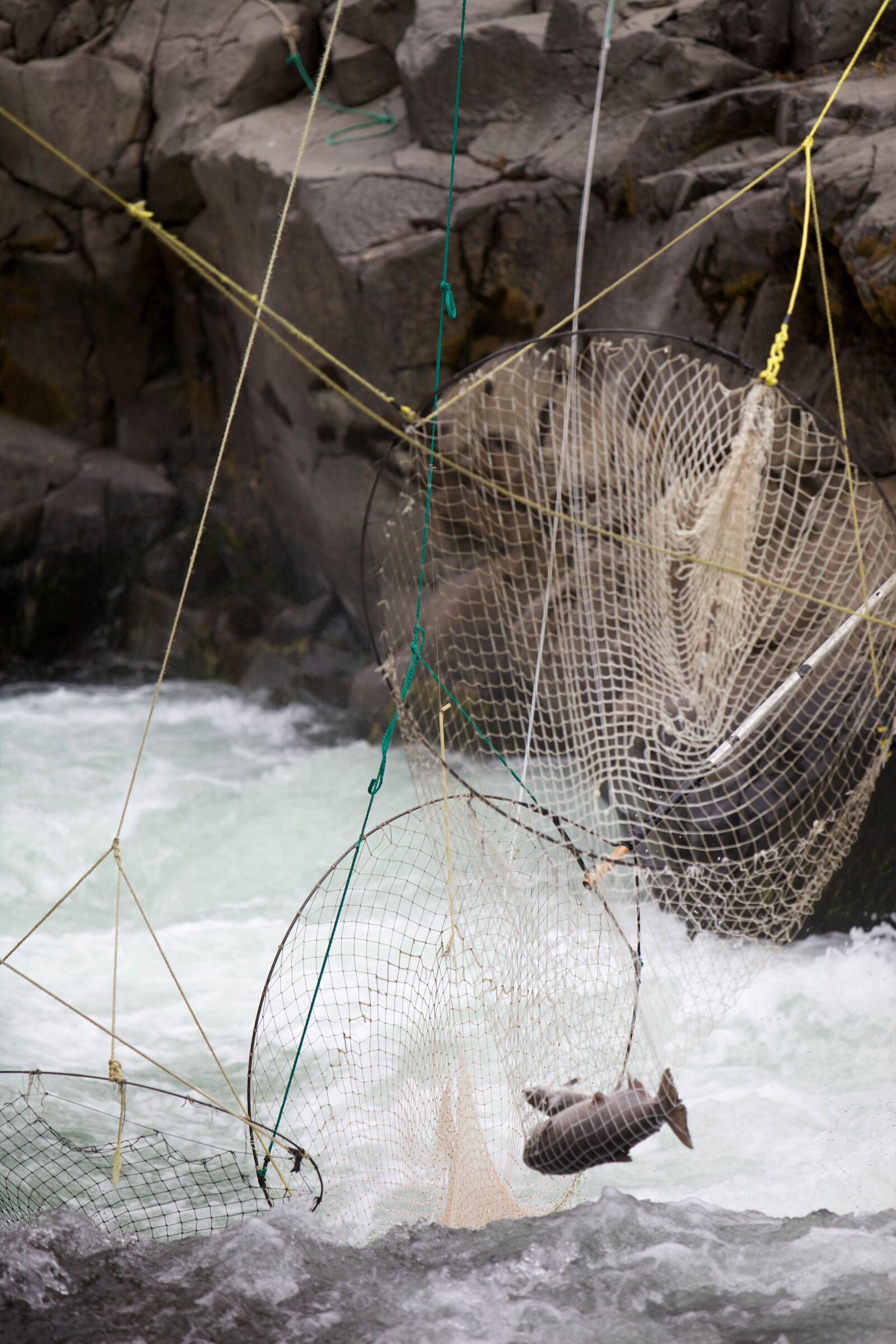 Canon EOS 5D Mark II sample photo. Fall, chinook, salmon, traditional photography