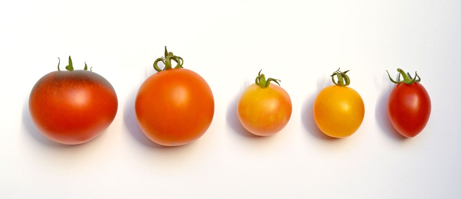 Nikon D5100 sample photo. Tomatoes, tomatoes locations, tomato photography