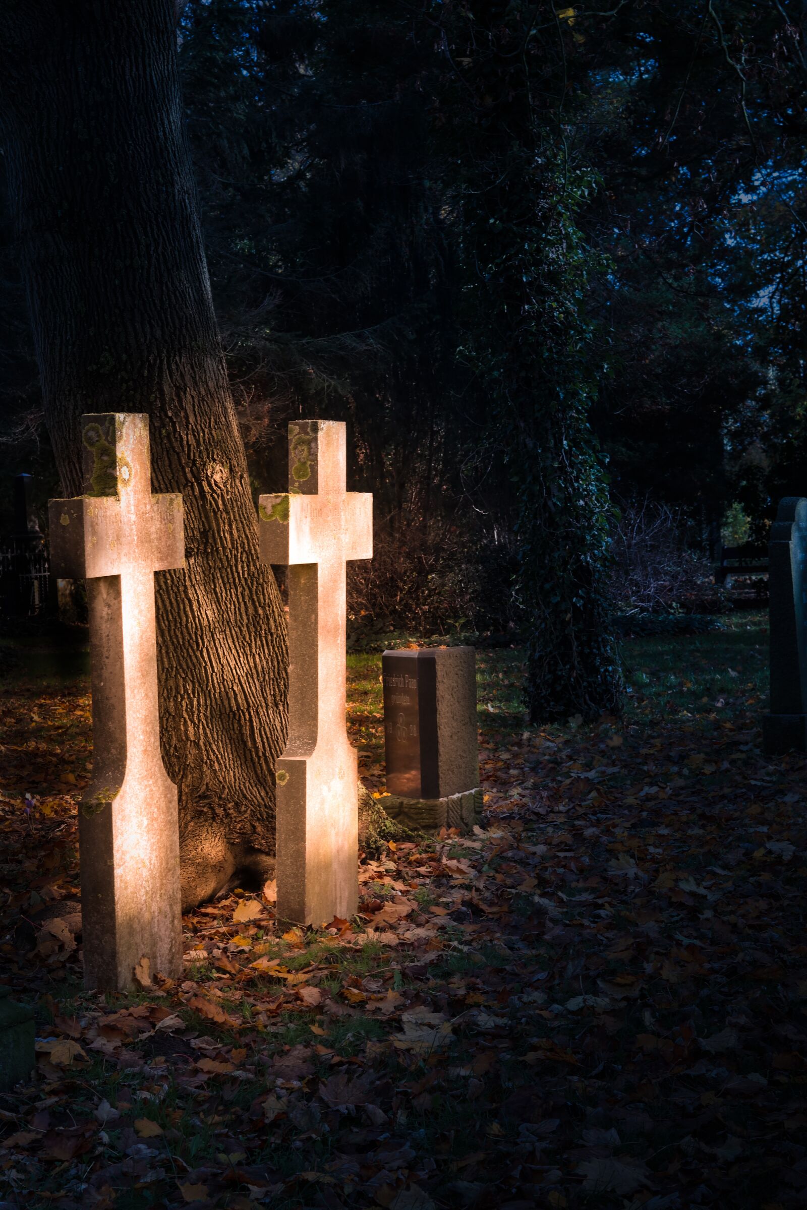 Canon EOS M100 + Canon EF 50mm F1.8 STM sample photo. Cemetery, night, forest photography