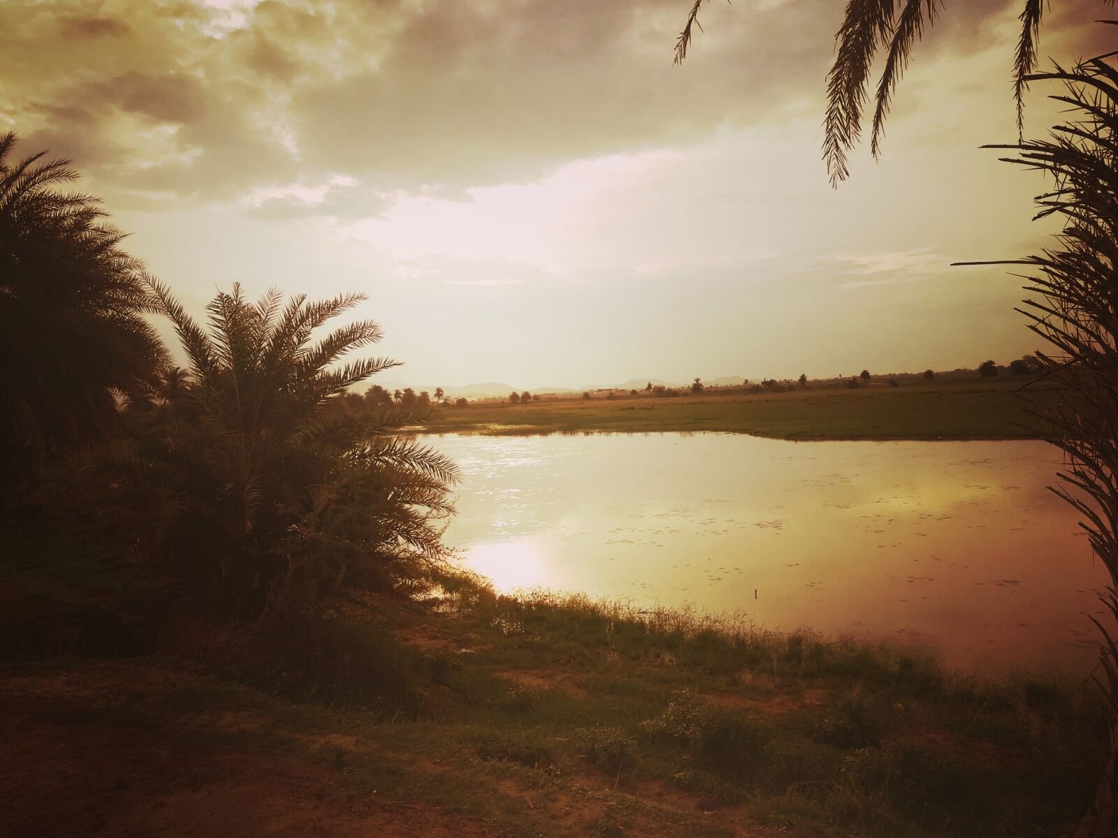 HUAWEI honor 6x sample photo. Perfect, sunset, time photography