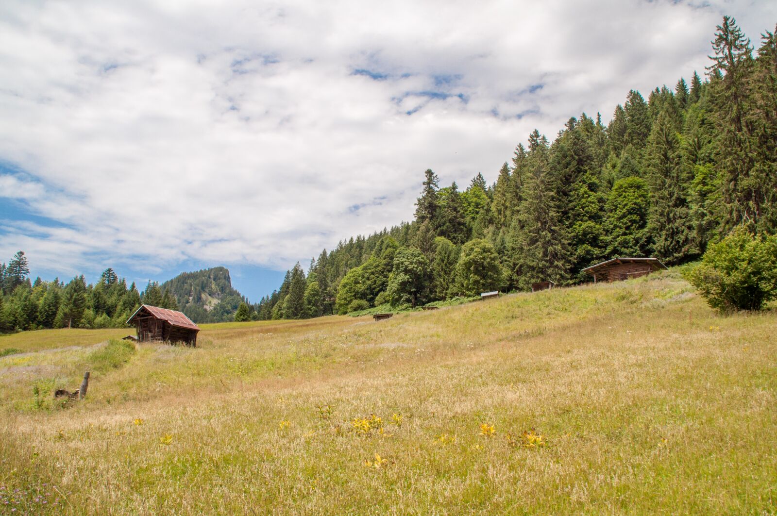 Nikon D5000 sample photo. Alps, field, hut photography