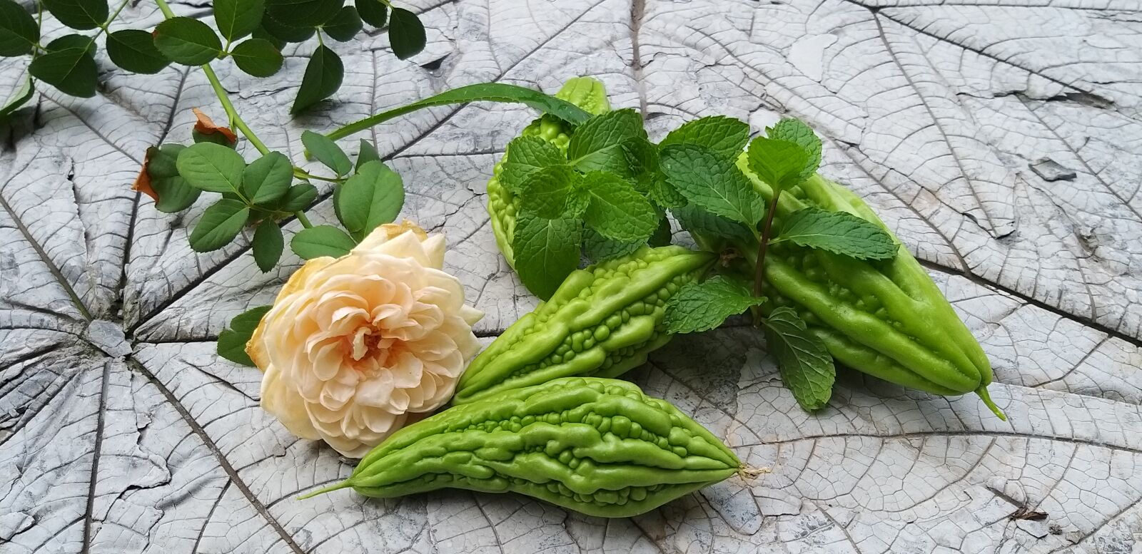 Samsung Galaxy A9 (2018) sample photo. Roses, the bitter melon photography