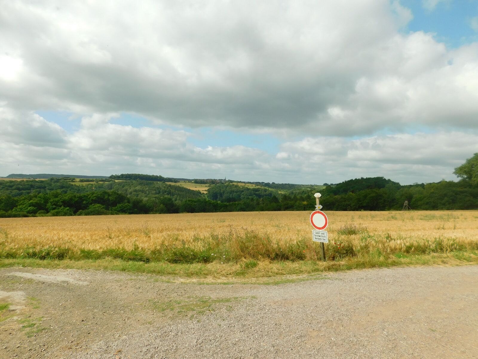 Nikon Coolpix B500 sample photo. Bliesgau, reserve, fields photography