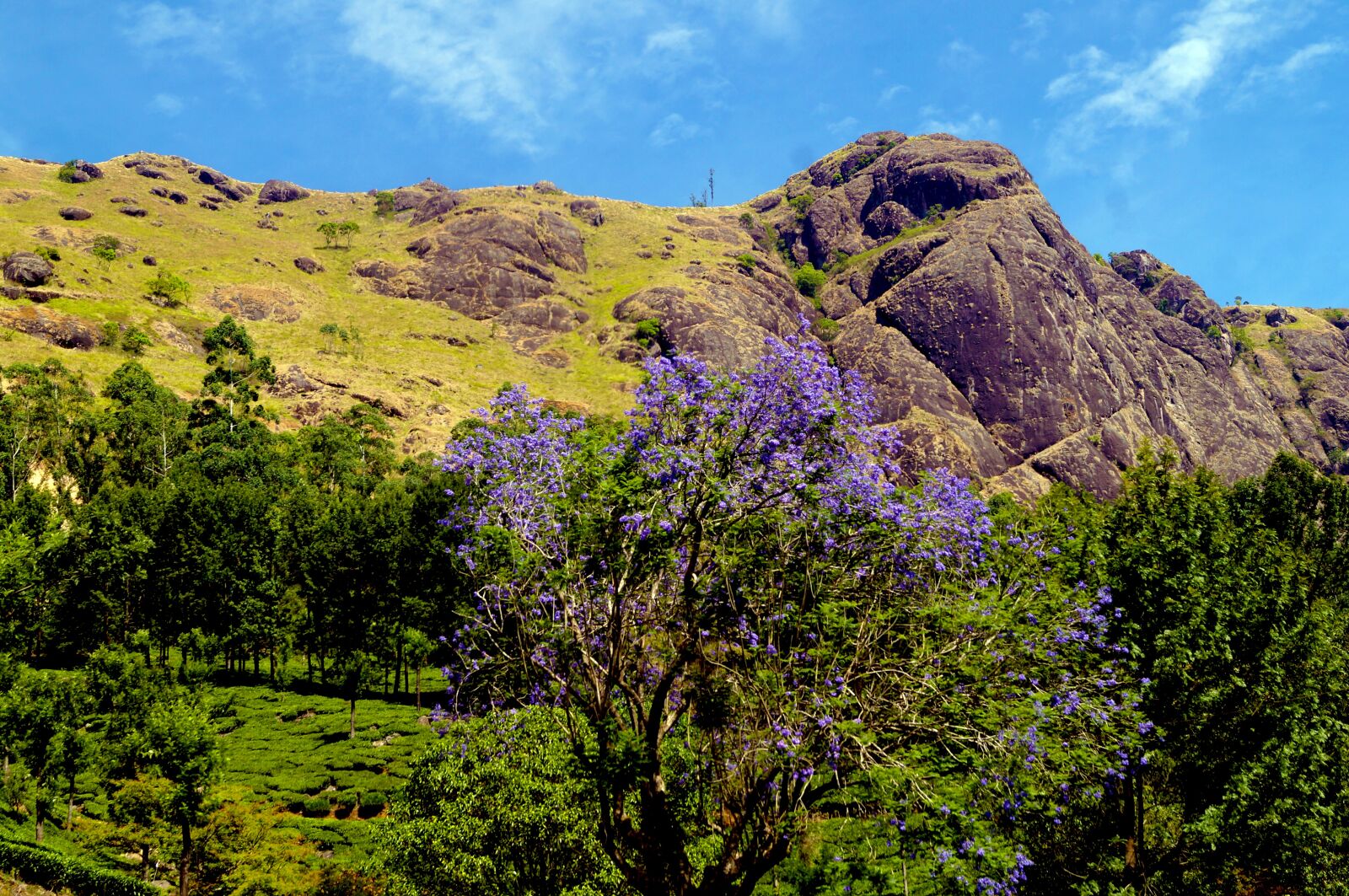 Sony SLT-A37 sample photo. Mountain, violet, purple photography