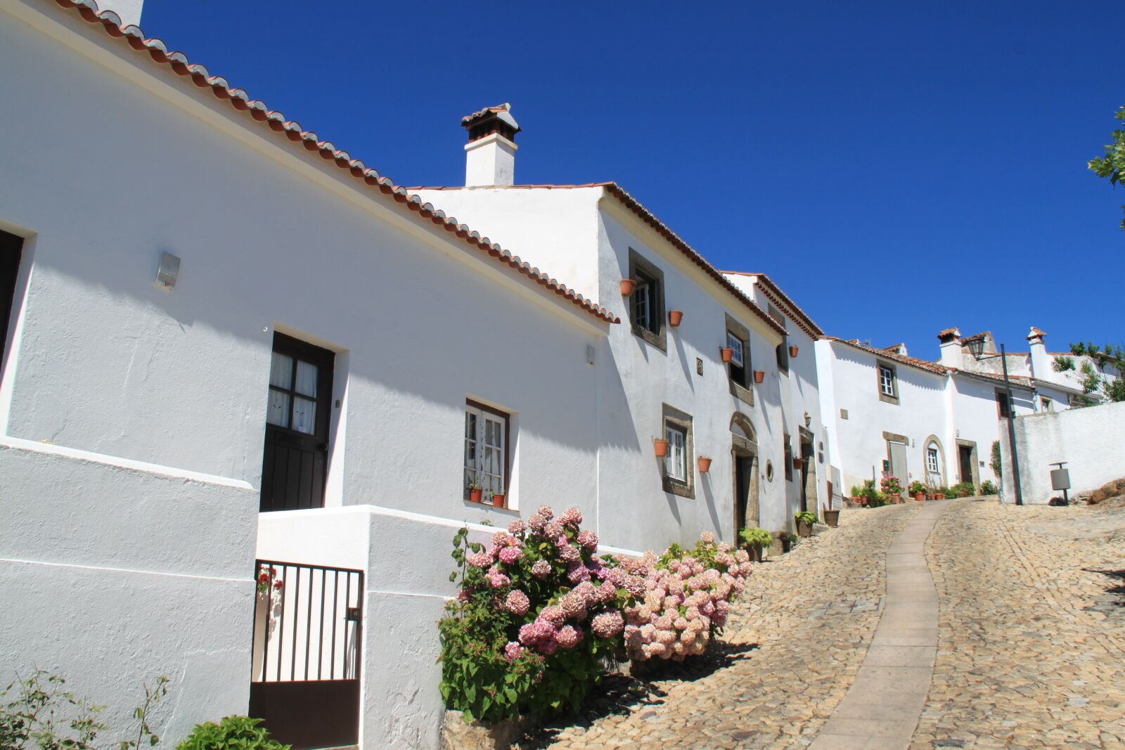 Canon EOS 500D (EOS Rebel T1i / EOS Kiss X3) sample photo. Portugal, alentejo, summer photography