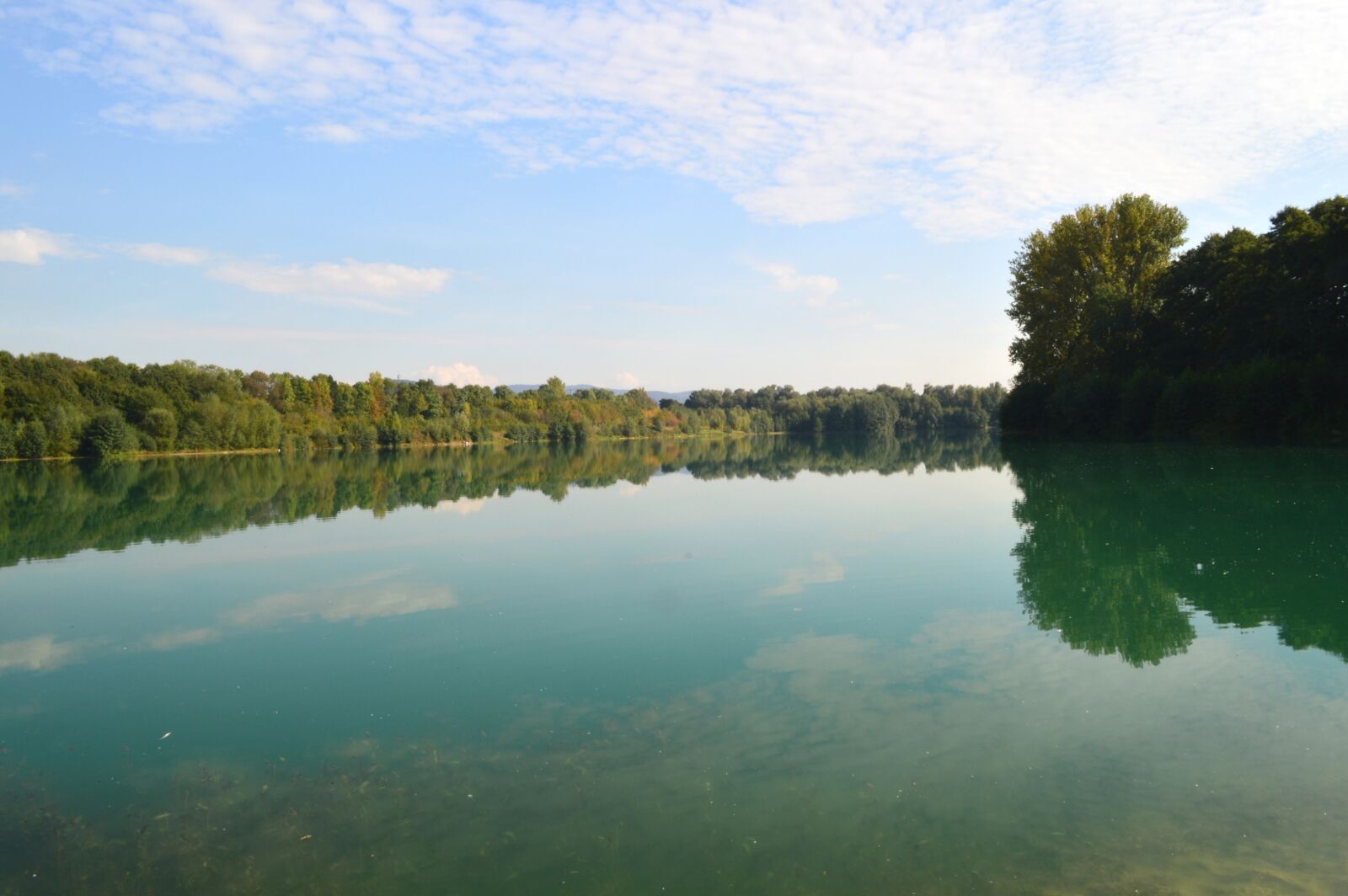 Nikon D3200 sample photo. Lake, edge of the photography