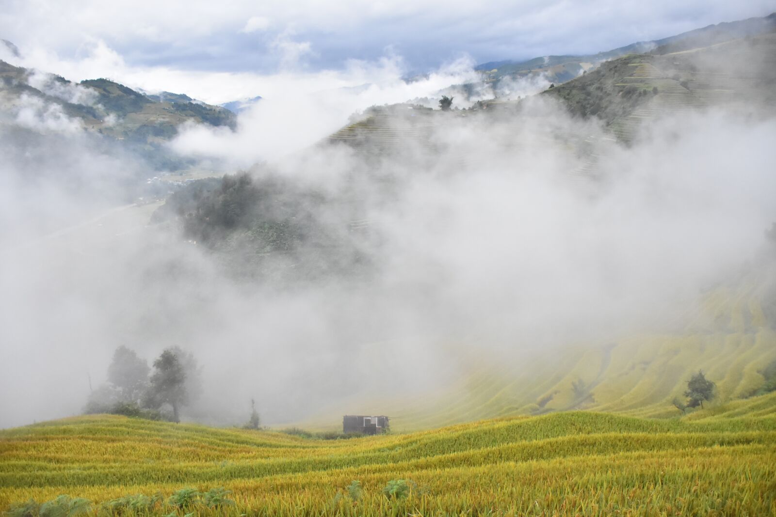Nikon D7200 sample photo. Terraces, mountains, vietnam photography