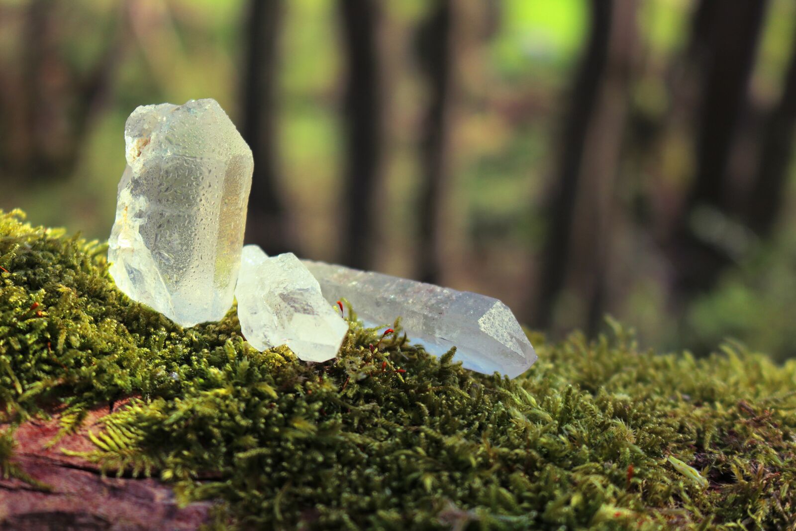 Canon EOS 750D (EOS Rebel T6i / EOS Kiss X8i) sample photo. Crystals, rock crystal, mineral photography