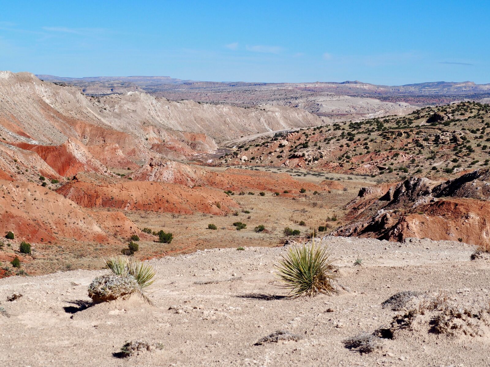 Olympus OM-D E-M10 sample photo. Desert, new mexico, southwest photography