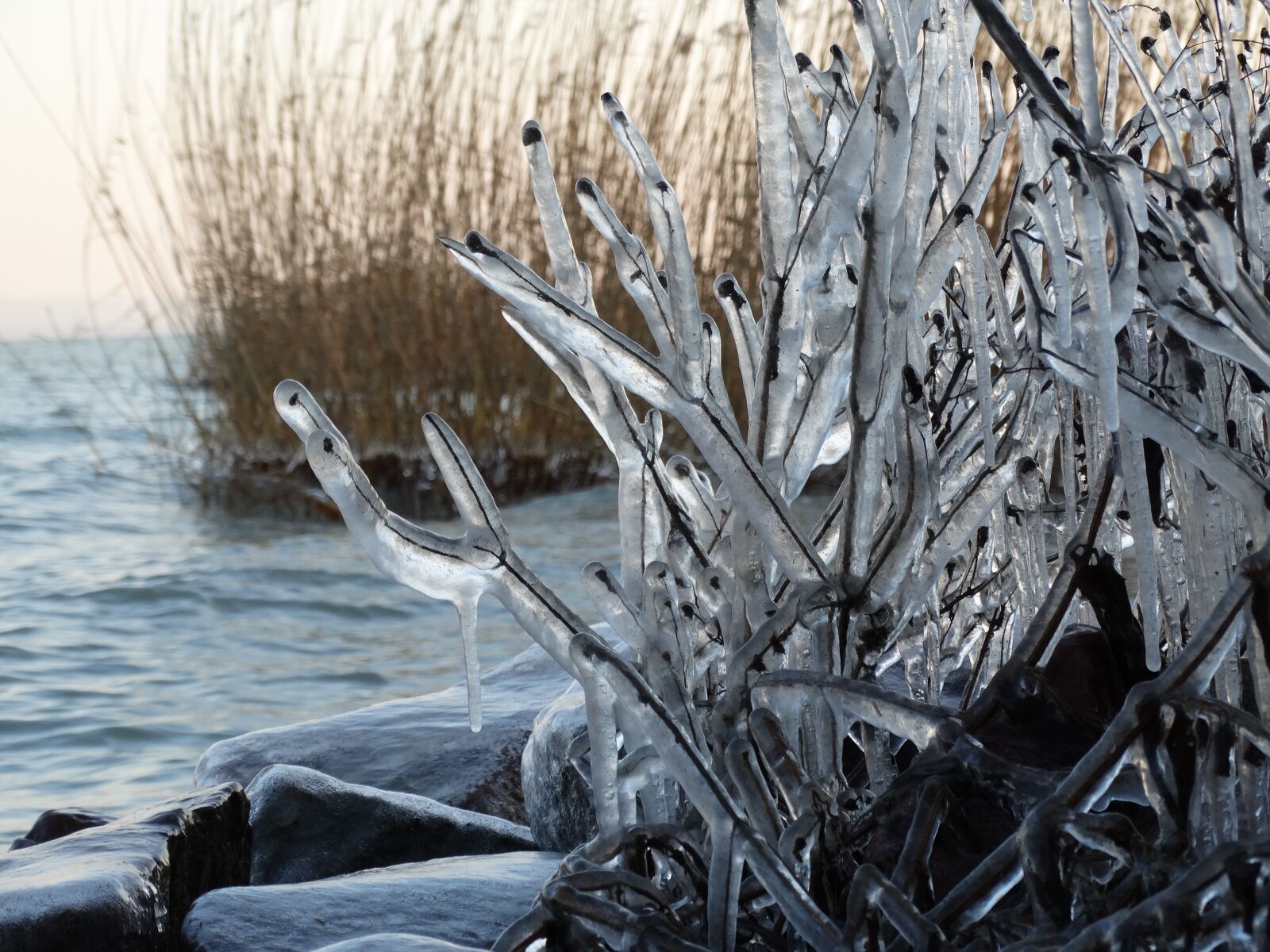 Sony Cyber-shot DSC-HX300 sample photo. Ice, frozen, balaton photography