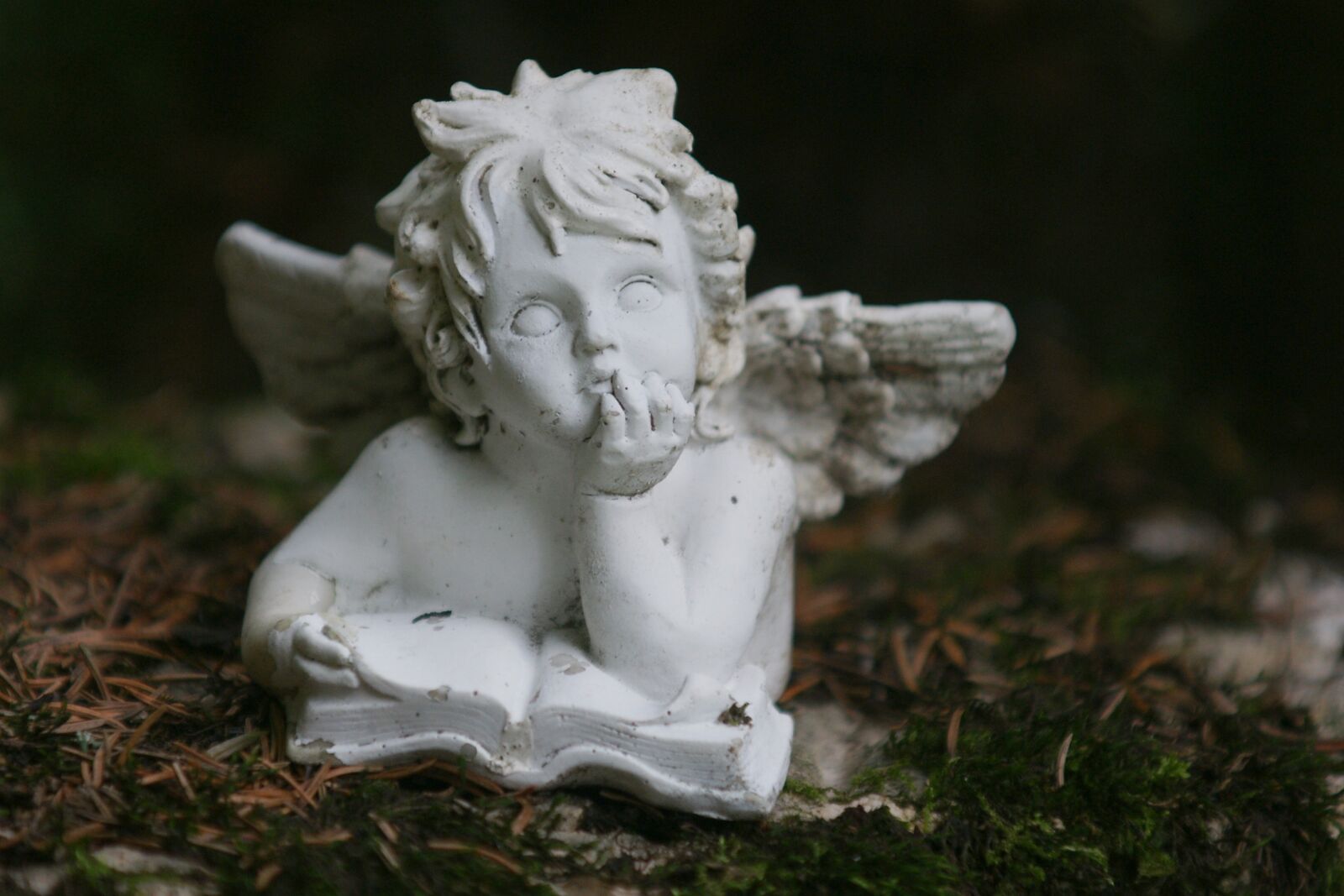Sony Alpha DSLR-A700 sample photo. Angel, contemplative, figure photography