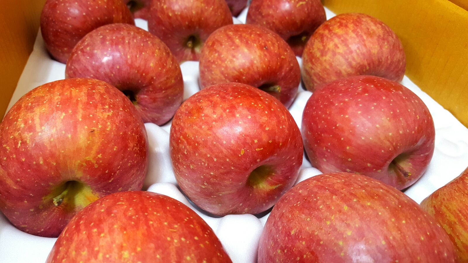 Samsung Galaxy S6 sample photo. Apple, fruit, red apple photography