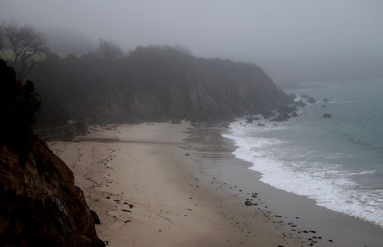 Canon PowerShot G1 X Mark III sample photo. Nature, fog, mist photography