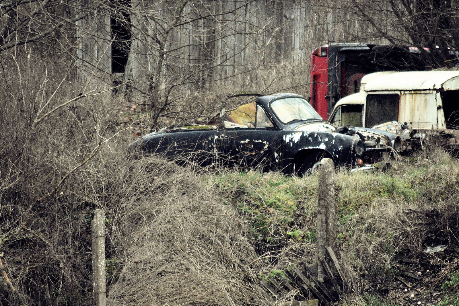 Nikon D3400 sample photo. Car, cars, auto photography