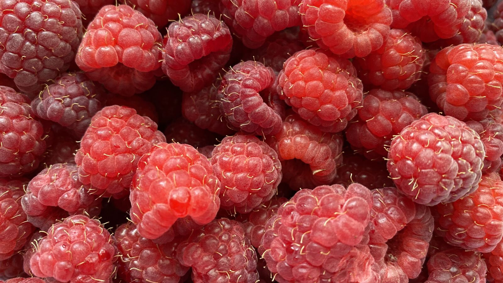 Apple iPhone 11 sample photo. Raspberries, fruits, vitamins photography