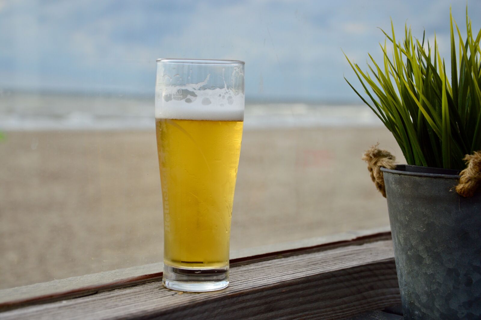 Nikon D3200 sample photo. Beer, drink, alcohol photography