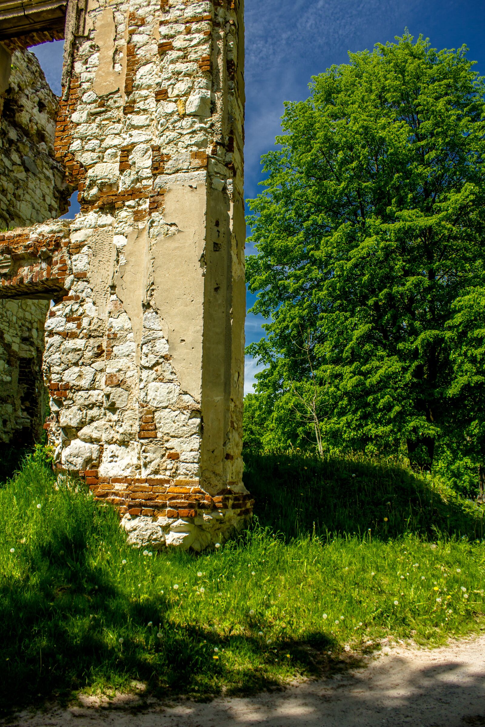 Canon EOS 60D sample photo. Bychawa, the ruins of photography