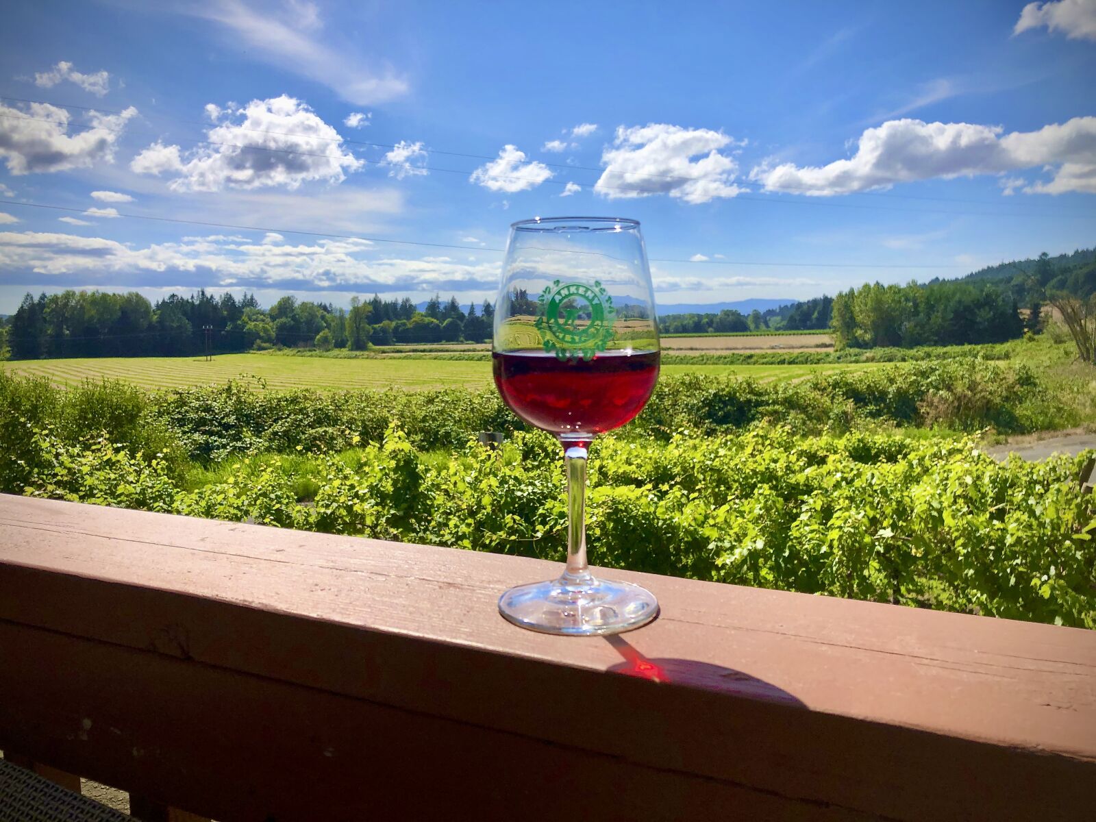 Apple iPhone X sample photo. Wine, vineyard, food photography