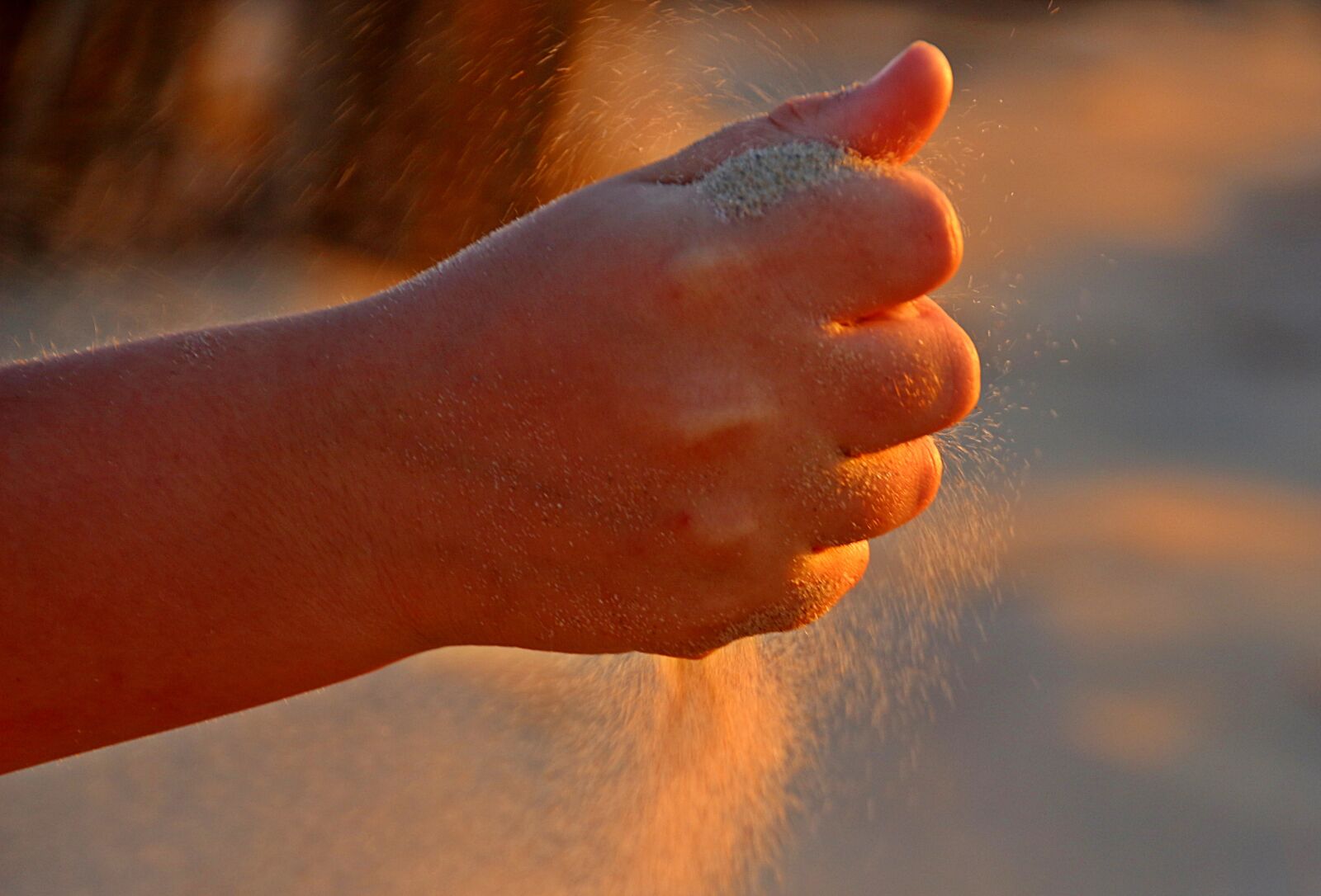 Canon EOS 650D (EOS Rebel T4i / EOS Kiss X6i) sample photo. Faust, hand, finger photography