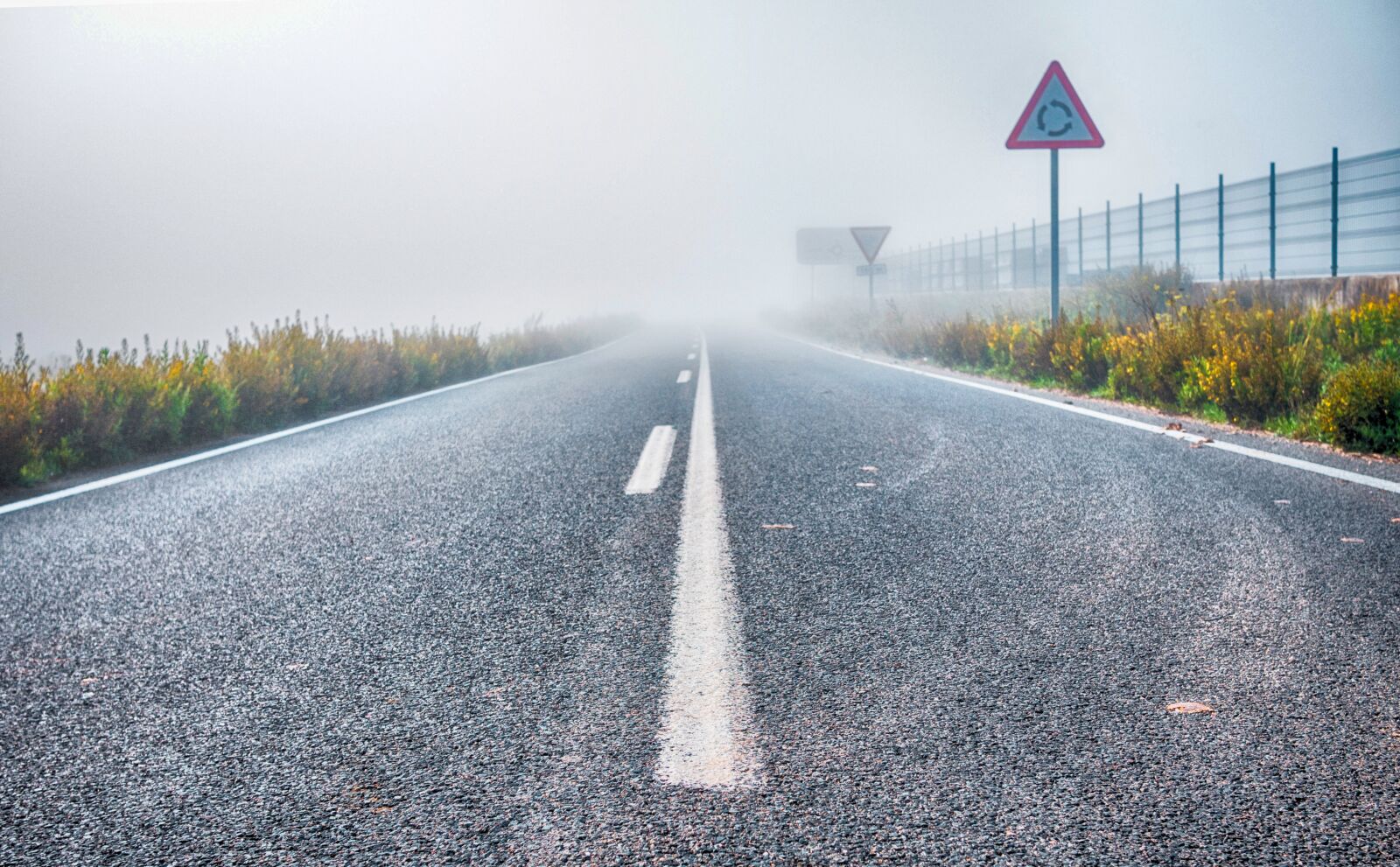 Panasonic Lumix DMC-GX8 + LUMIX G 20/F1.7 II sample photo. Fog, road, car photography