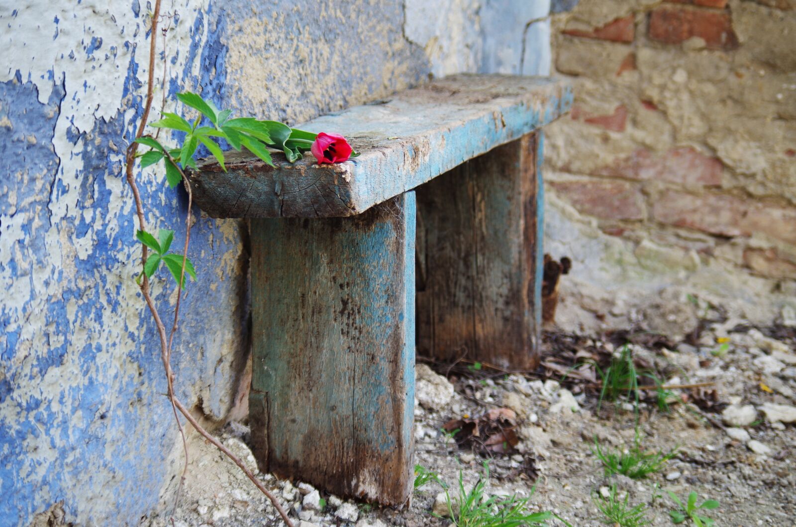 Pentax K-500 sample photo. Bench, old, odratá photography