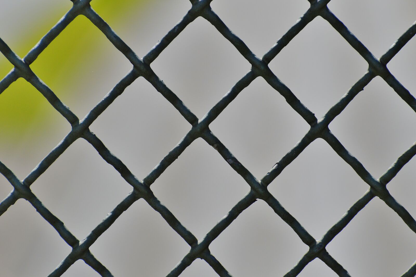 Nikon D3200 sample photo. Fence, iron, metal photography
