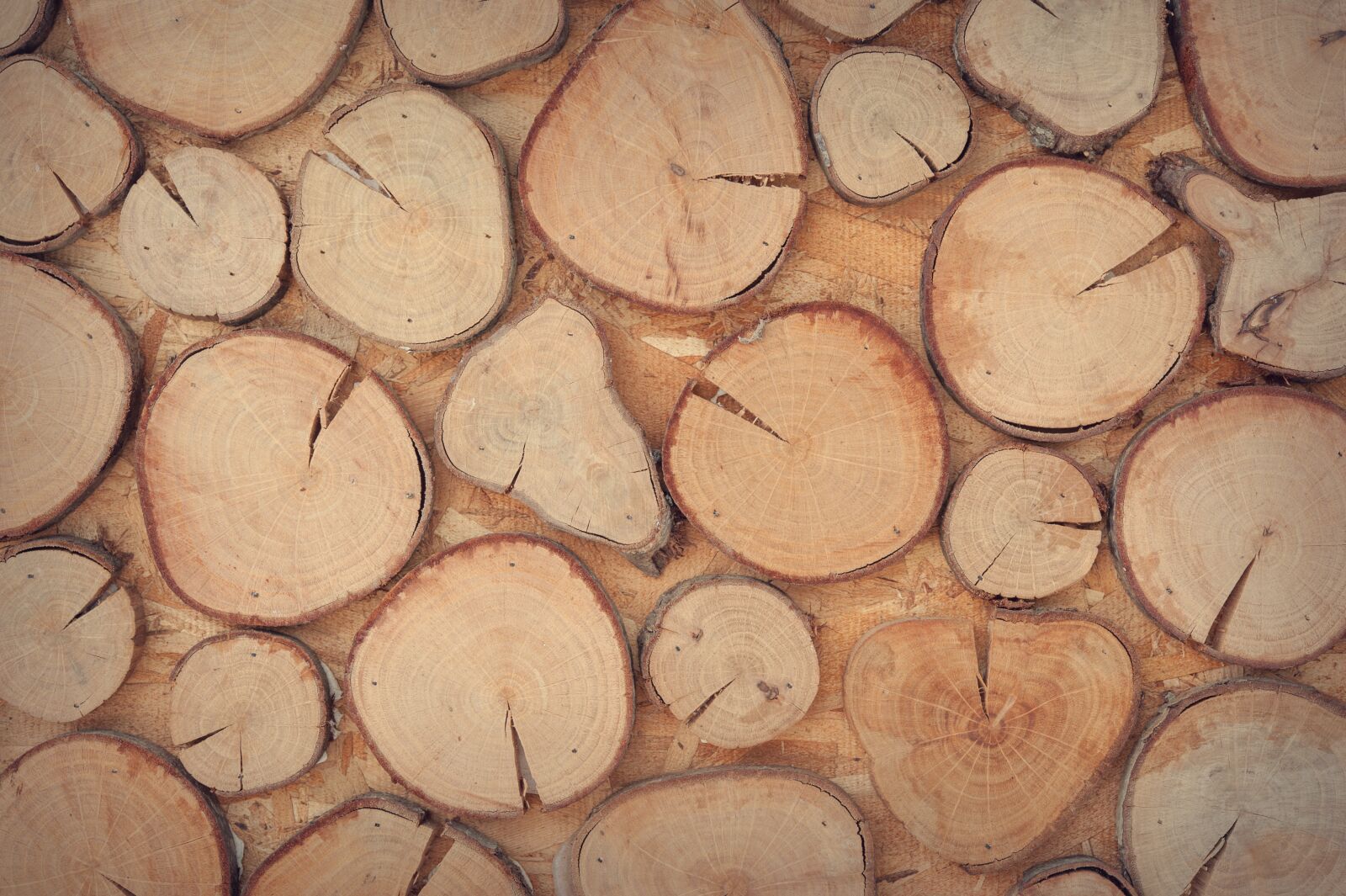 Nikon D700 sample photo. Wood, logs, wooden photography