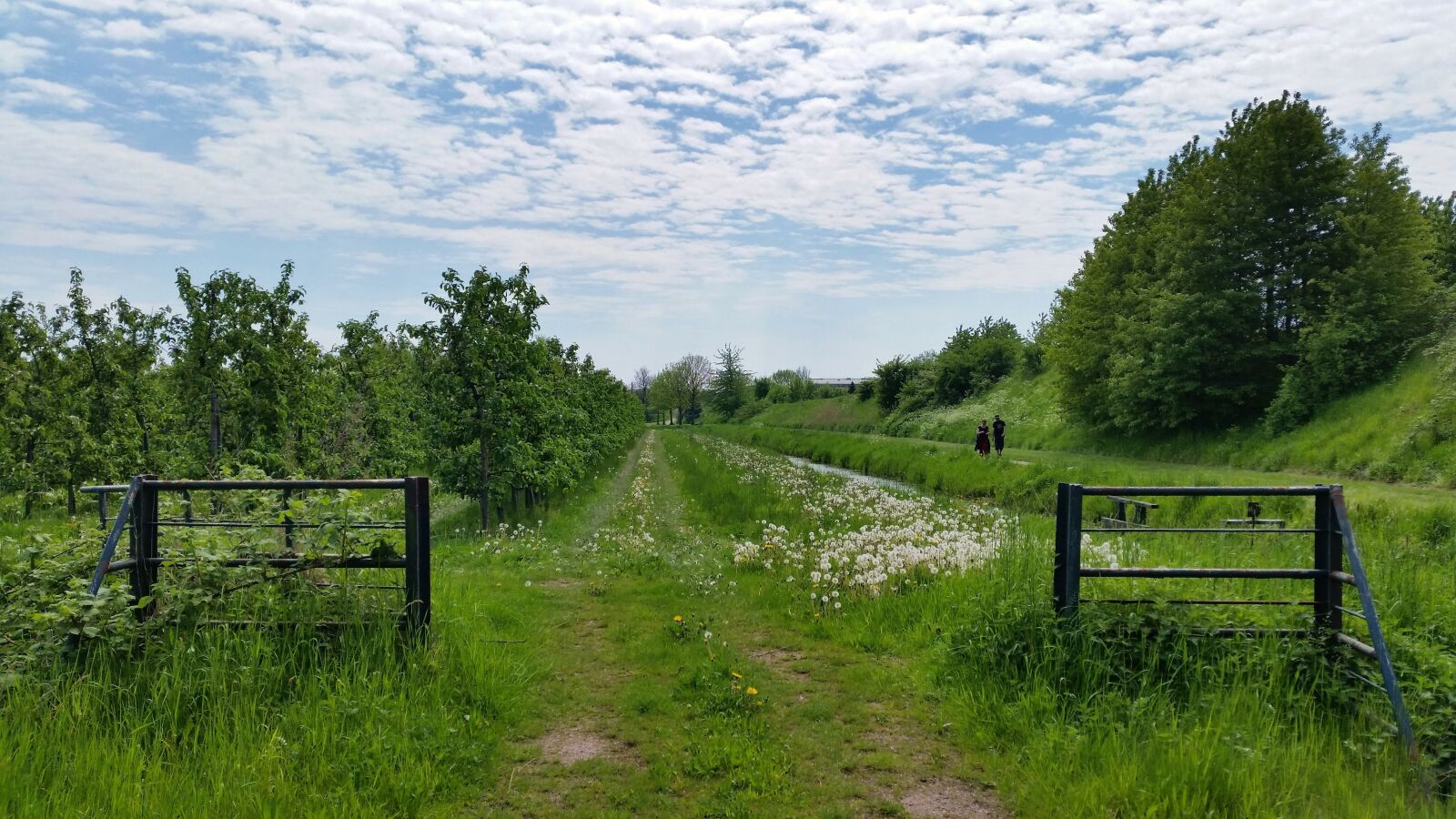 Samsung Galaxy S5 sample photo. Nature, sky, blue sky photography