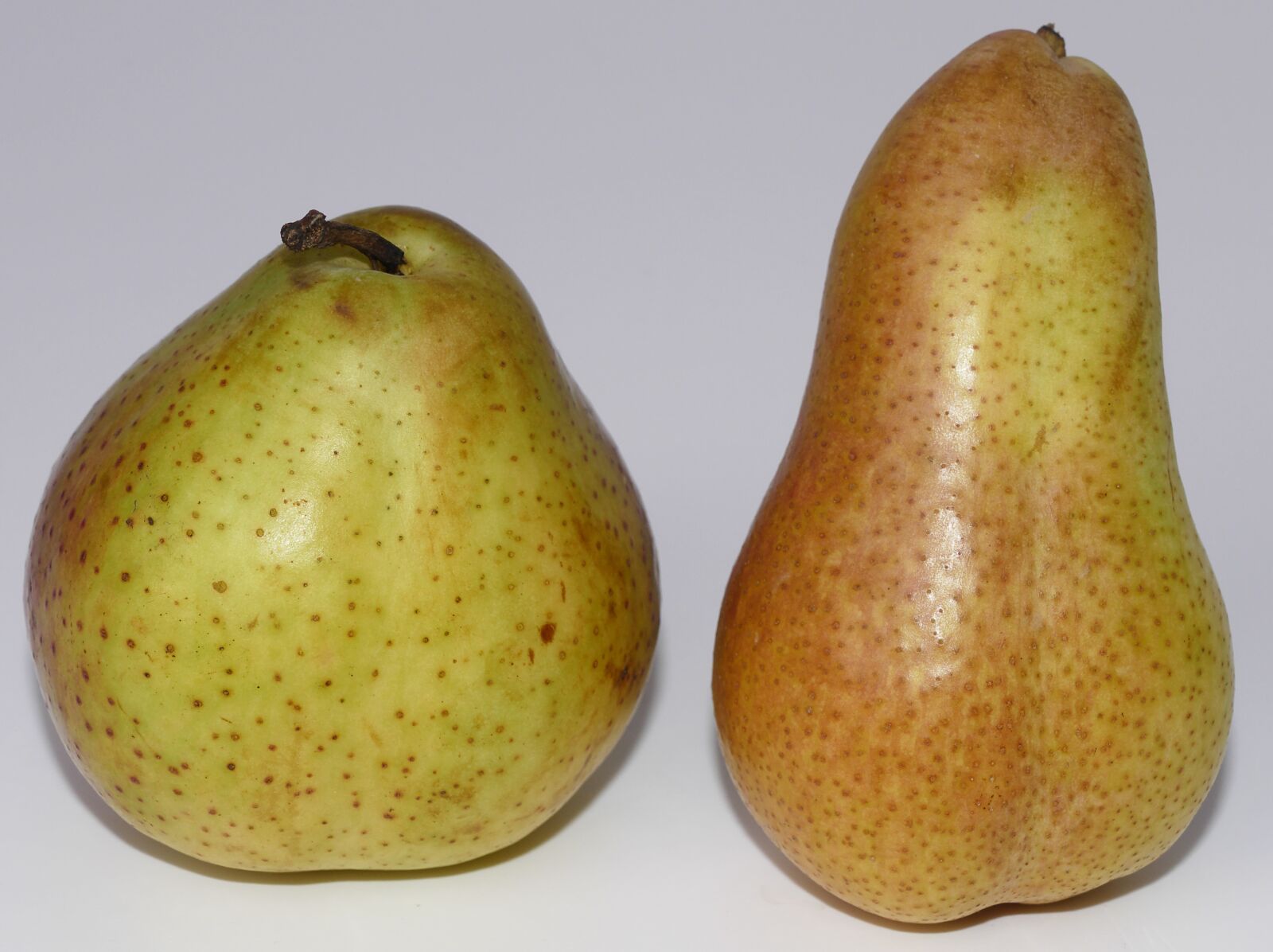 Panasonic Lumix DMC-FZ1000 sample photo. Pears, fruit, pome fruit photography