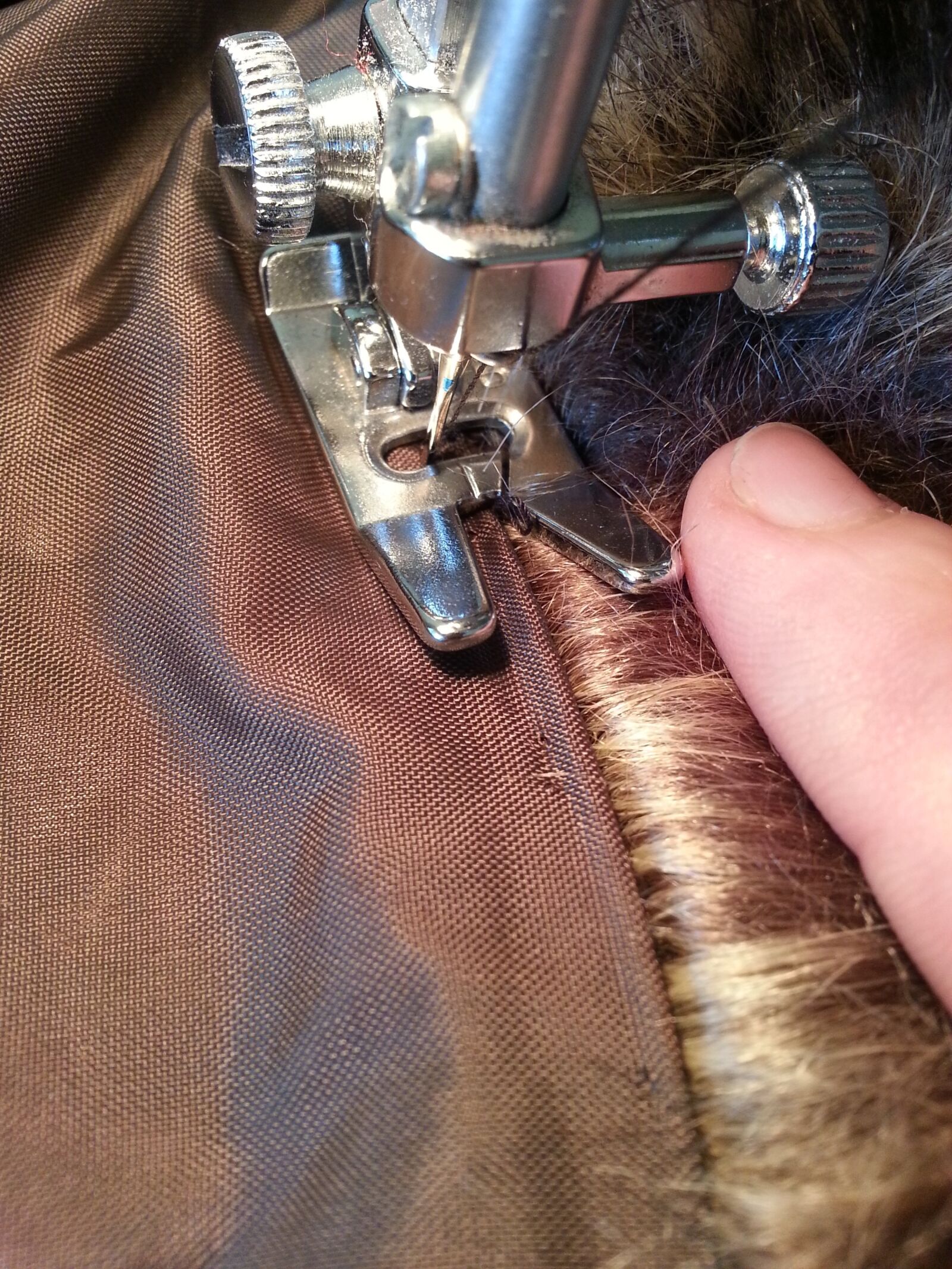 Samsung Galaxy S3 sample photo. Furry, sewing, fabric photography