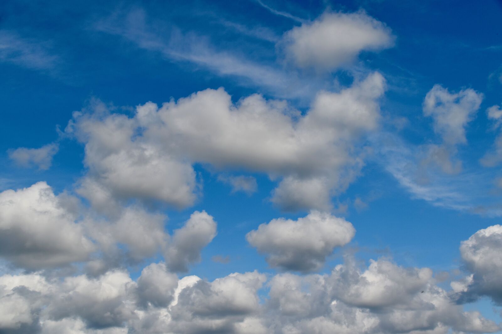Nikon D5600 sample photo. Cloudy sky, blue sky photography