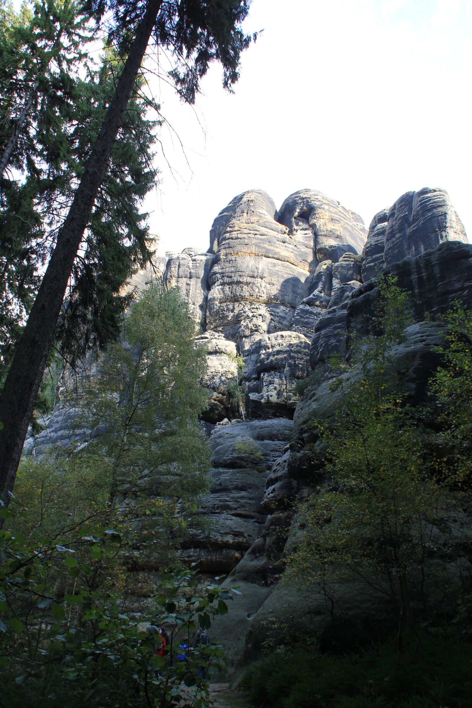 Canon EOS 550D (EOS Rebel T2i / EOS Kiss X4) sample photo. Saxon switzerland, rock, mountains photography