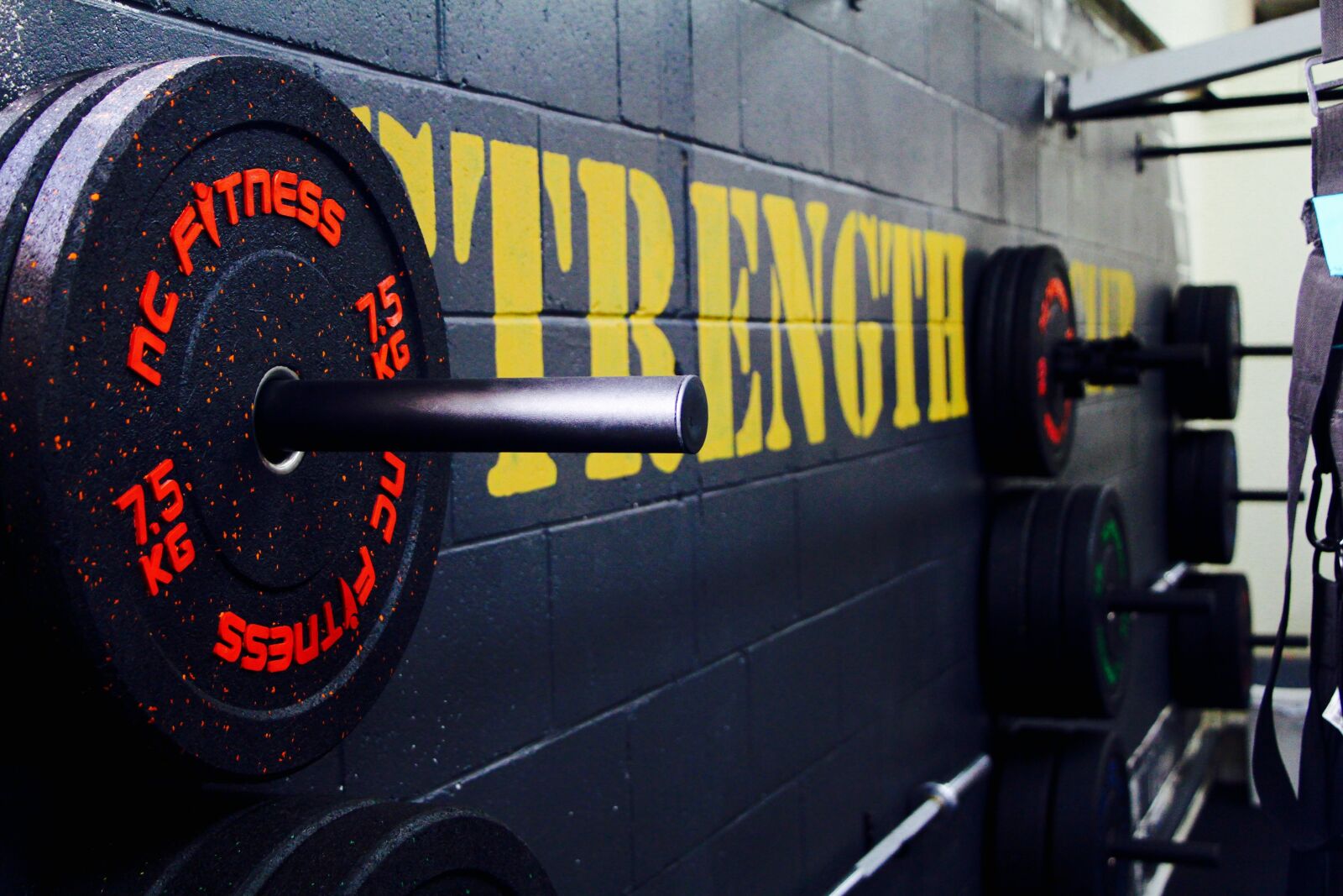Canon EOS 650D (EOS Rebel T4i / EOS Kiss X6i) sample photo. Gym, weights, strength photography