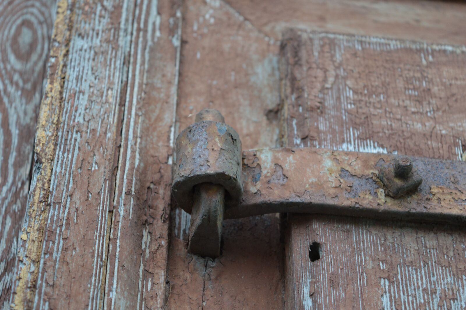 Nikon D3200 sample photo. Loop, old, wood photography