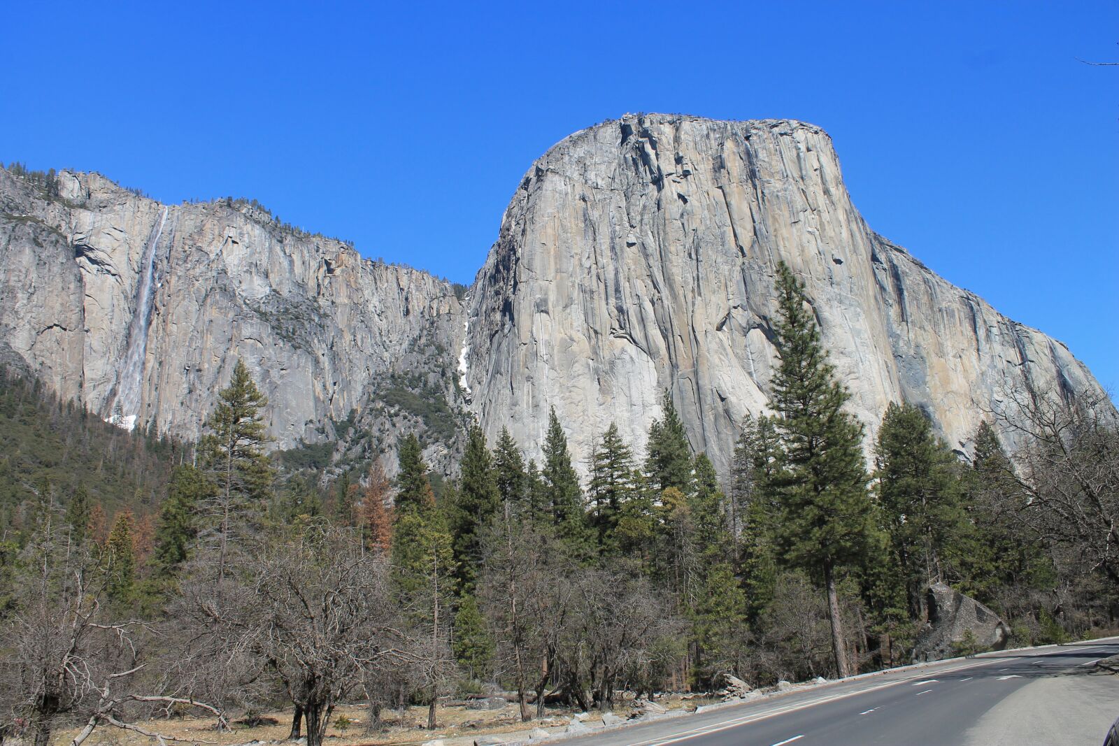 Canon EOS 1100D (EOS Rebel T3 / EOS Kiss X50) sample photo. El capitan, yosemite, tree photography