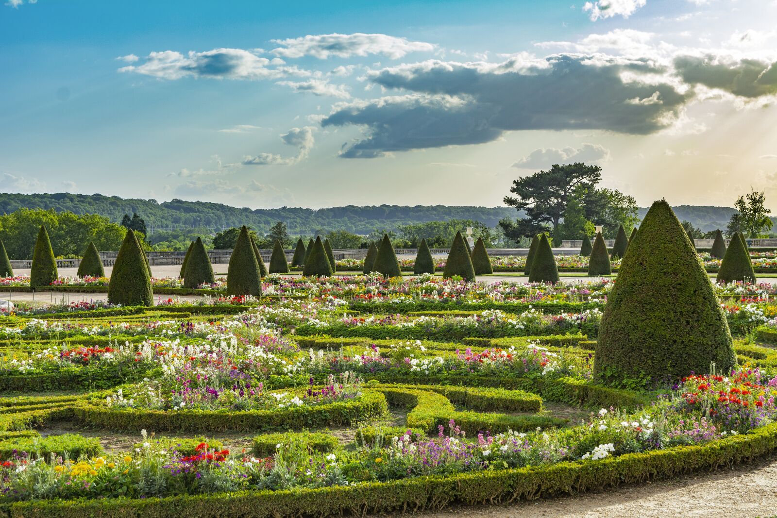 Nikon D5200 sample photo. Versailles, park, castle photography