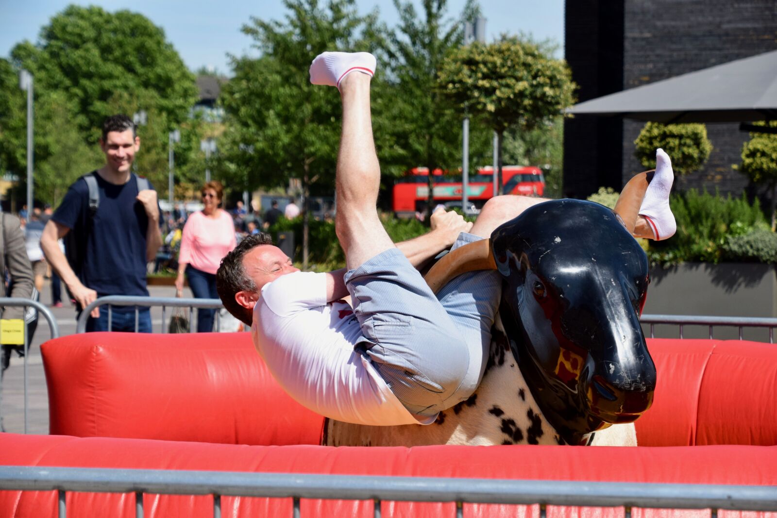 Nikon D3300 sample photo. Balance, bull, falling photography