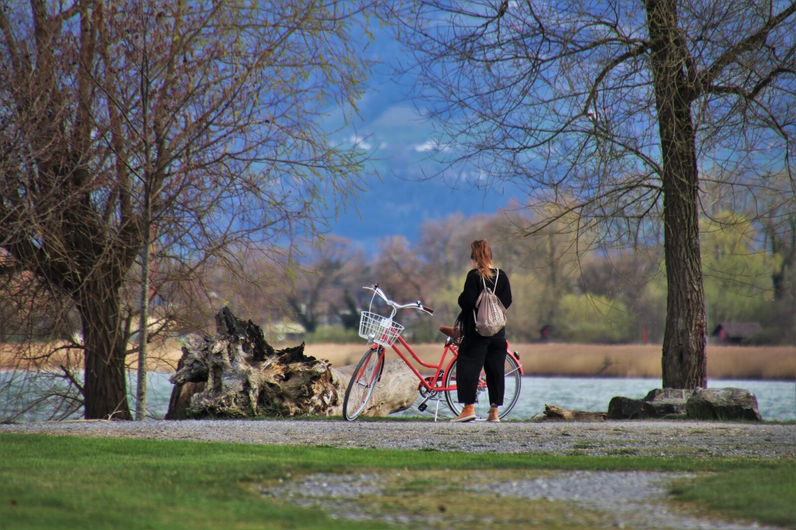 Canon EOS 80D sample photo. Beach, bike, water photography