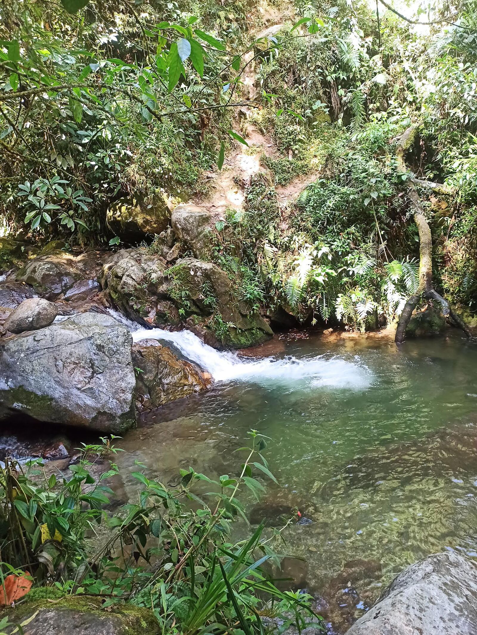 Xiaomi Redmi Note 8 Pro sample photo. Landscapes, colombia, antioquia photography