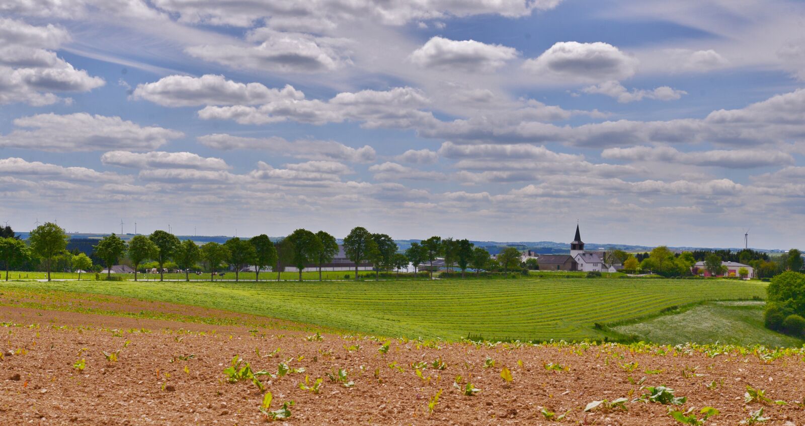 Nikon D600 sample photo. Panorama, view, clouds photography