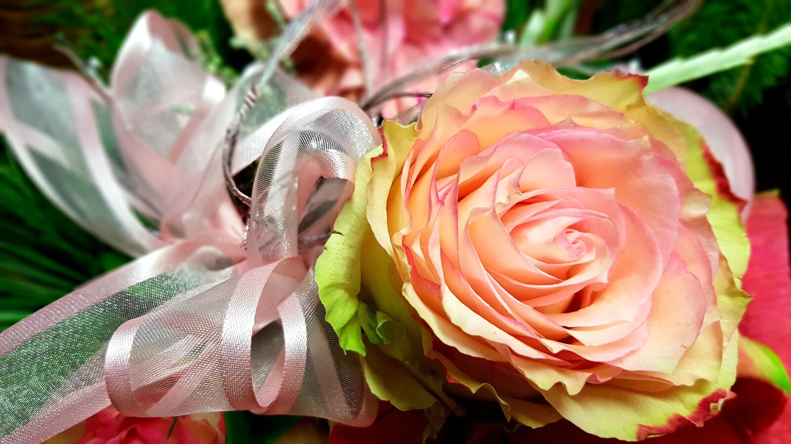 Samsung Galaxy S7 Edge sample photo. Christmas, deco, rose photography