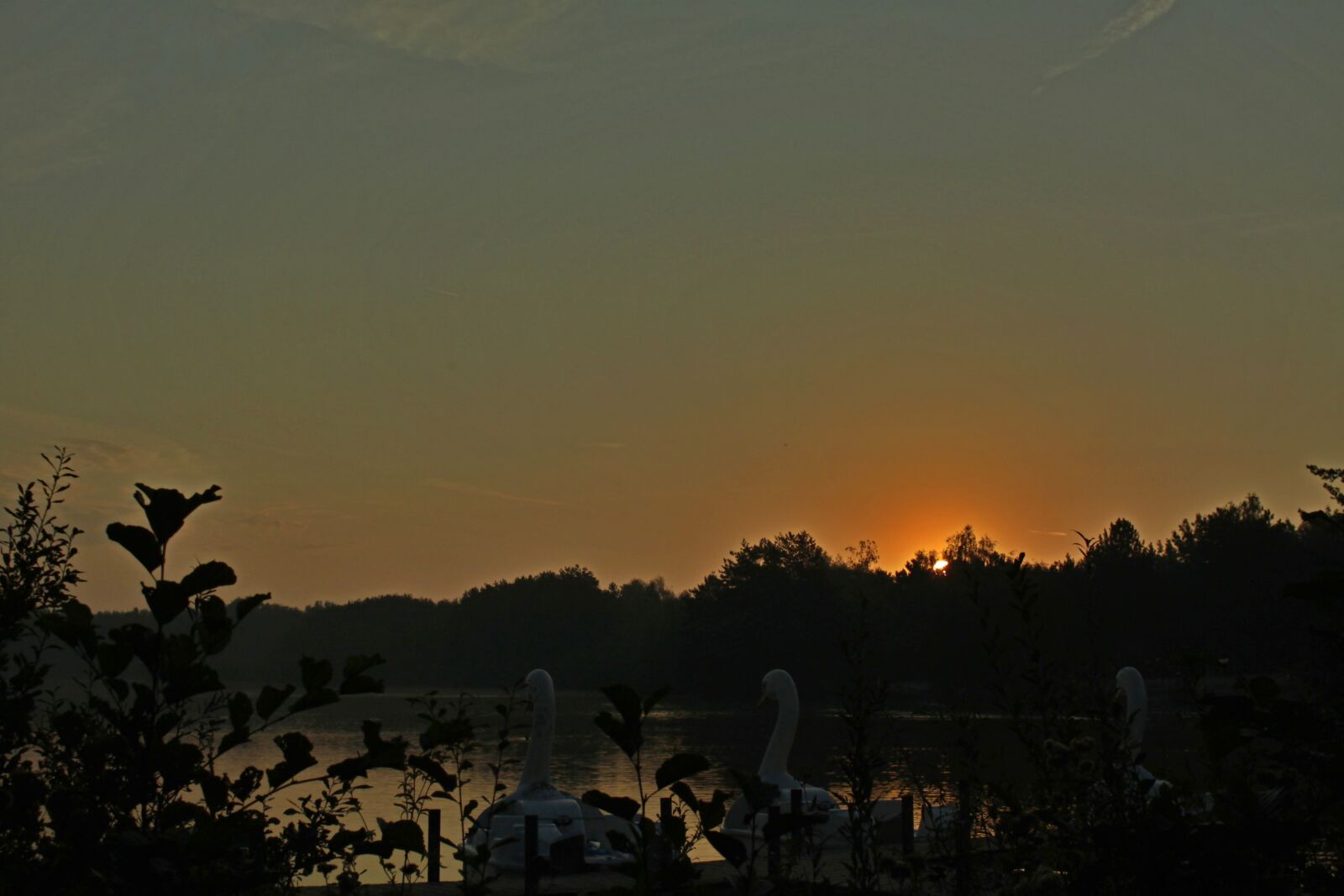 Canon EOS 500D (EOS Rebel T1i / EOS Kiss X3) sample photo. Sunrise, lake, goose photography