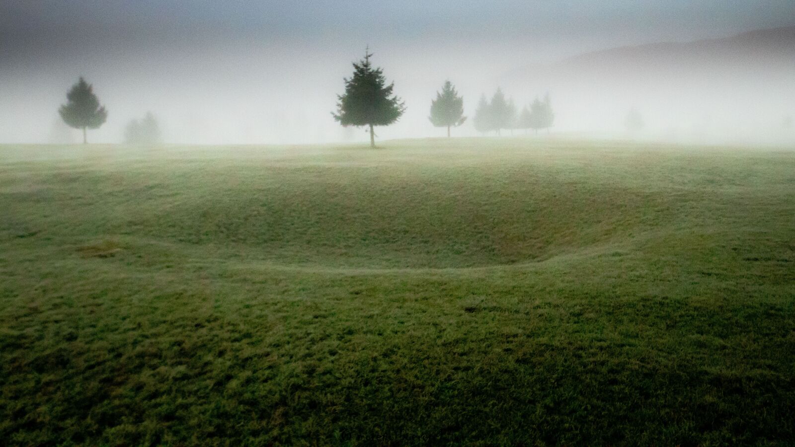 Canon EOS 80D sample photo. Winter, mist, fog photography
