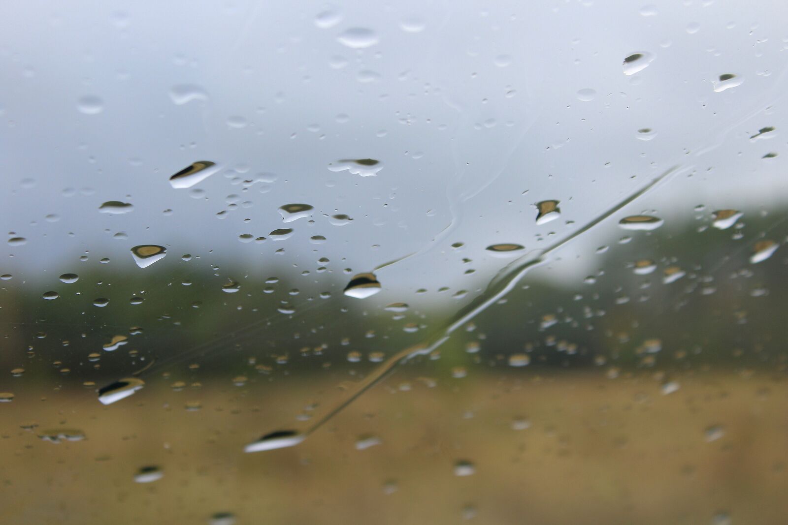 Canon EOS 1200D (EOS Rebel T5 / EOS Kiss X70 / EOS Hi) sample photo. Rain drops, pane, autumn photography
