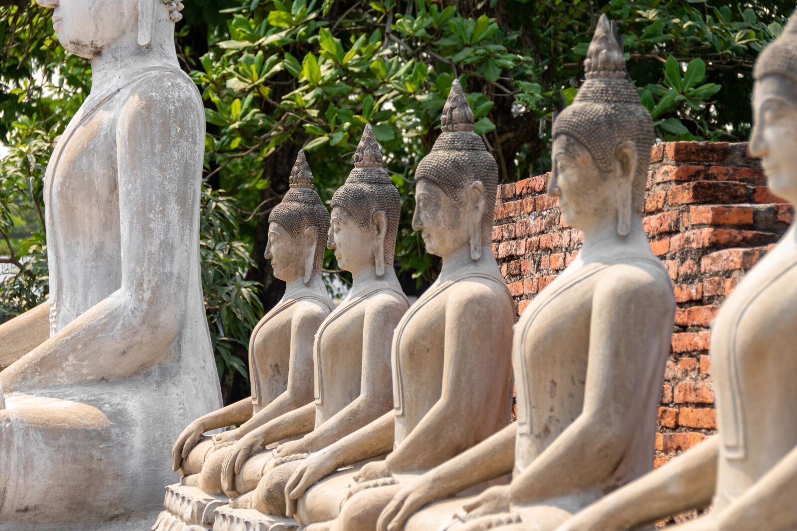 Nikon D5600 sample photo. Buddha, statue, meditation photography