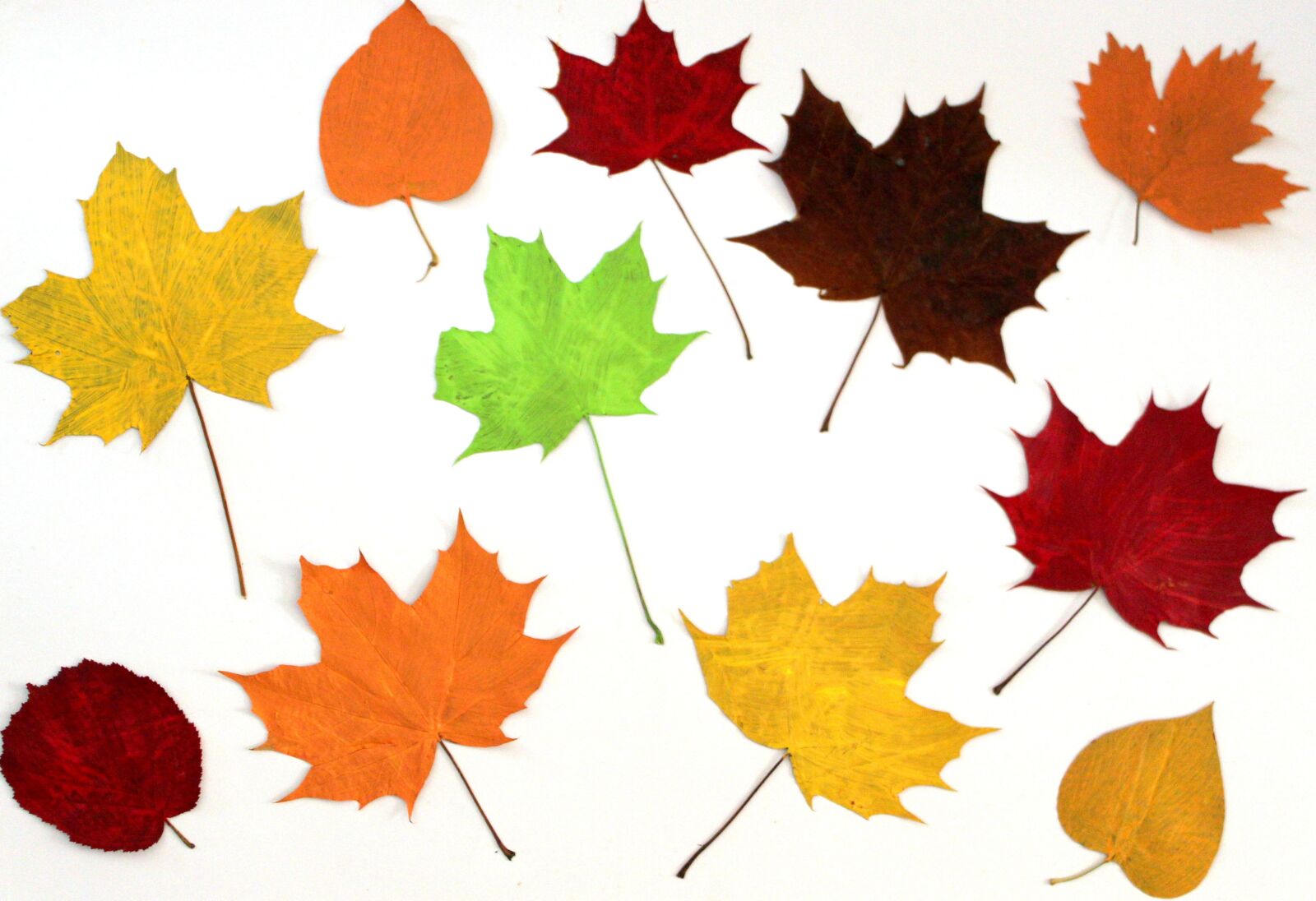 Canon EOS 650D (EOS Rebel T4i / EOS Kiss X6i) sample photo. Leaves, colorful, autumn photography