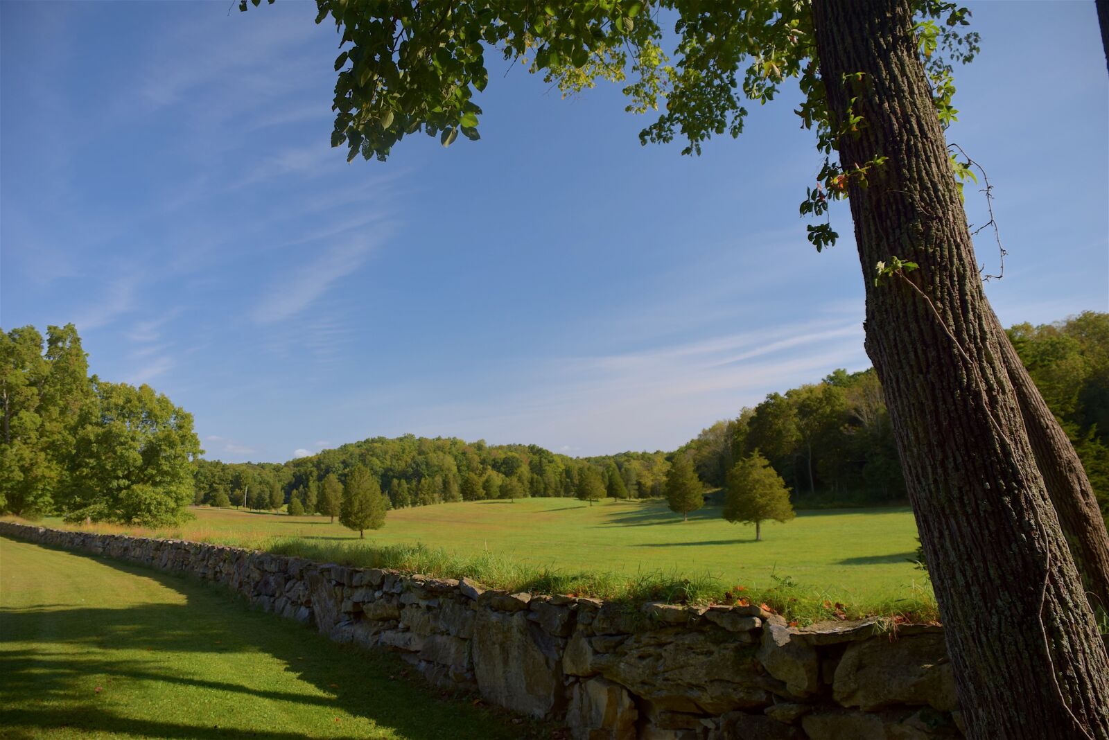 Nikon D3300 sample photo. Rural, stone wall, stone photography