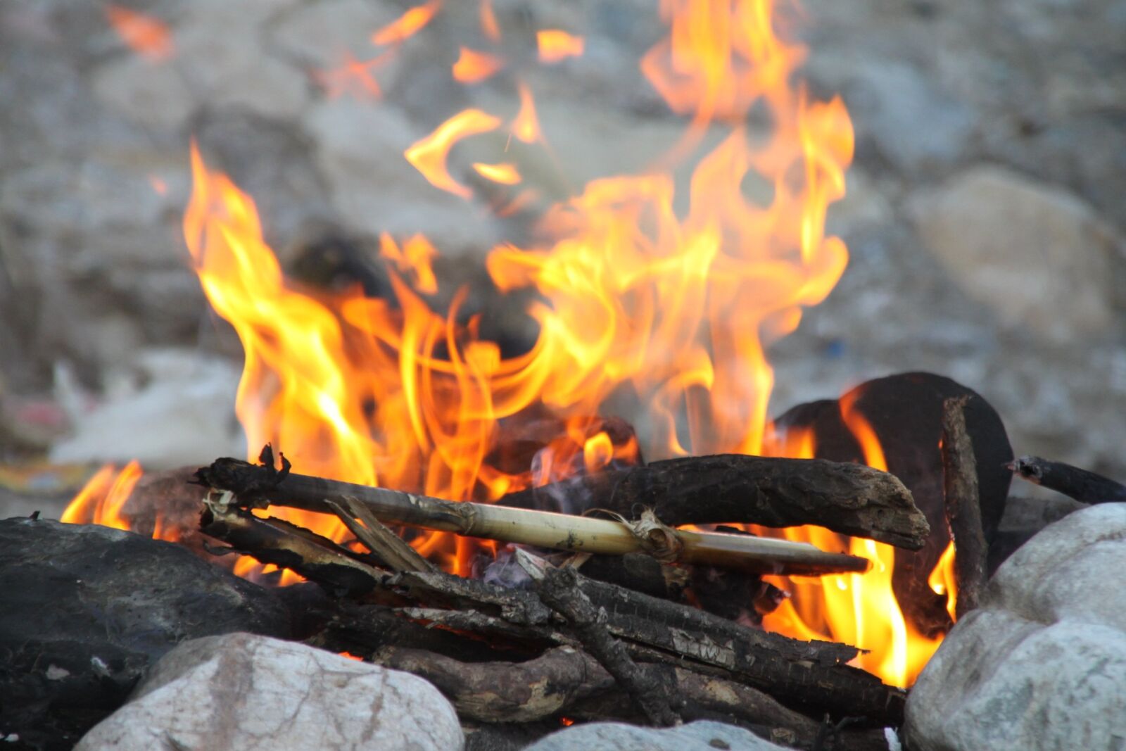 Canon EOS 500D (EOS Rebel T1i / EOS Kiss X3) sample photo. Fire, woods, camping photography