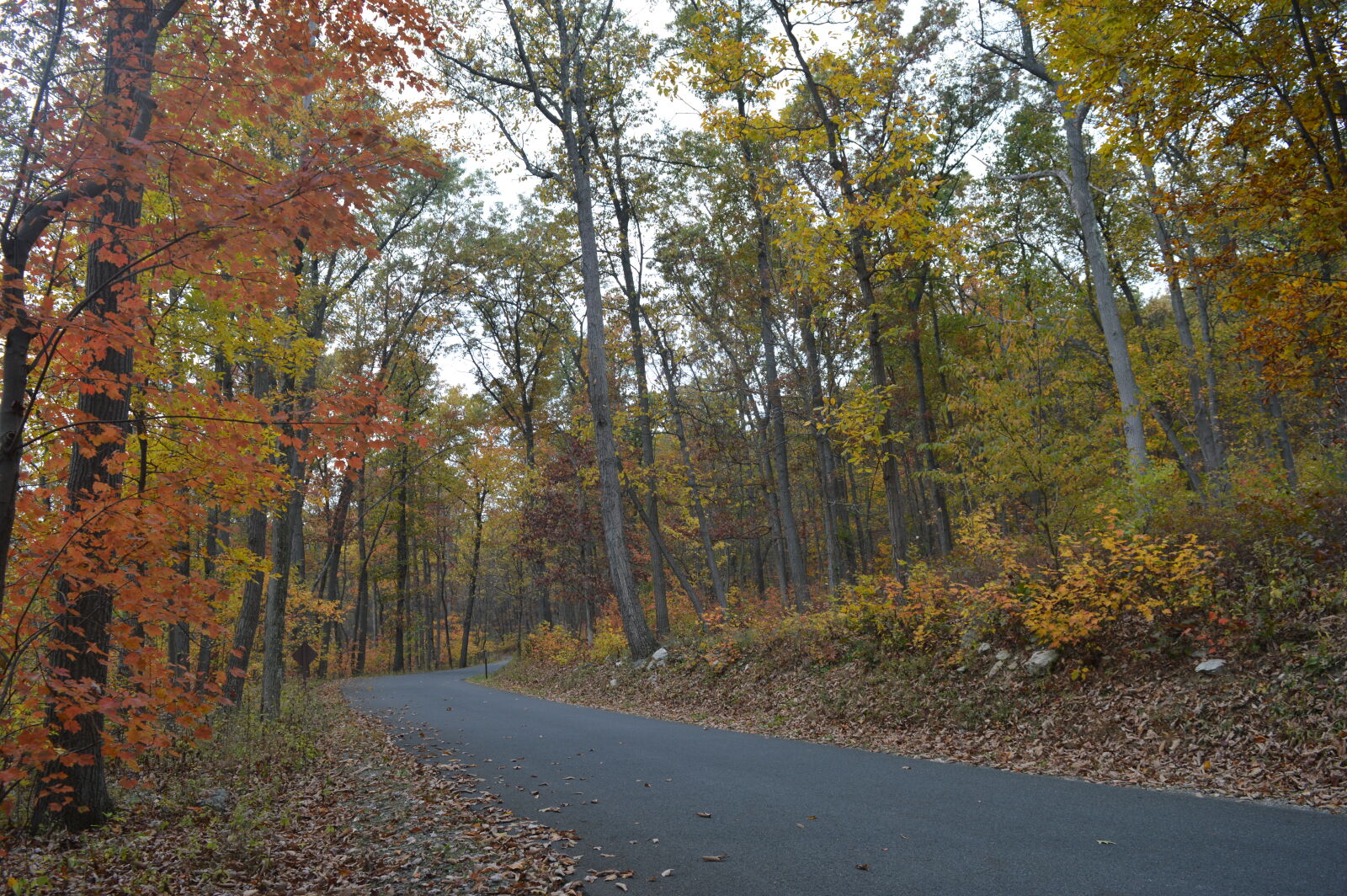 Nikon D3200 sample photo