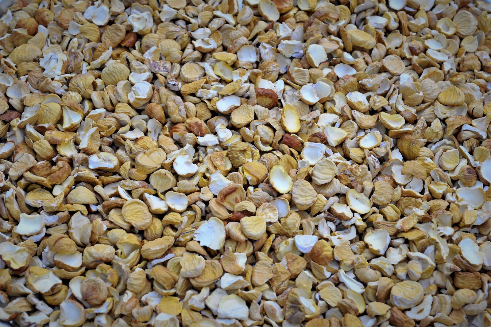 Nikon D3S sample photo. Night, night rice, night photography